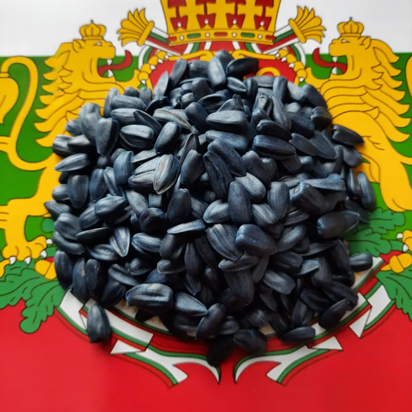 Насіння соняшника кондитерського Геракл, 1-ша репродукція 171025-1 фото