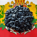 Насіння соняшника кондитерського Геракл, 1-ша репродукція 171025-1 фото 2